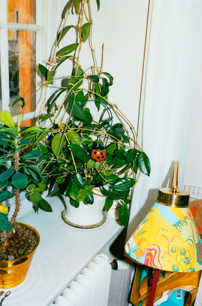 Apartamento Magazine - Levan Akin