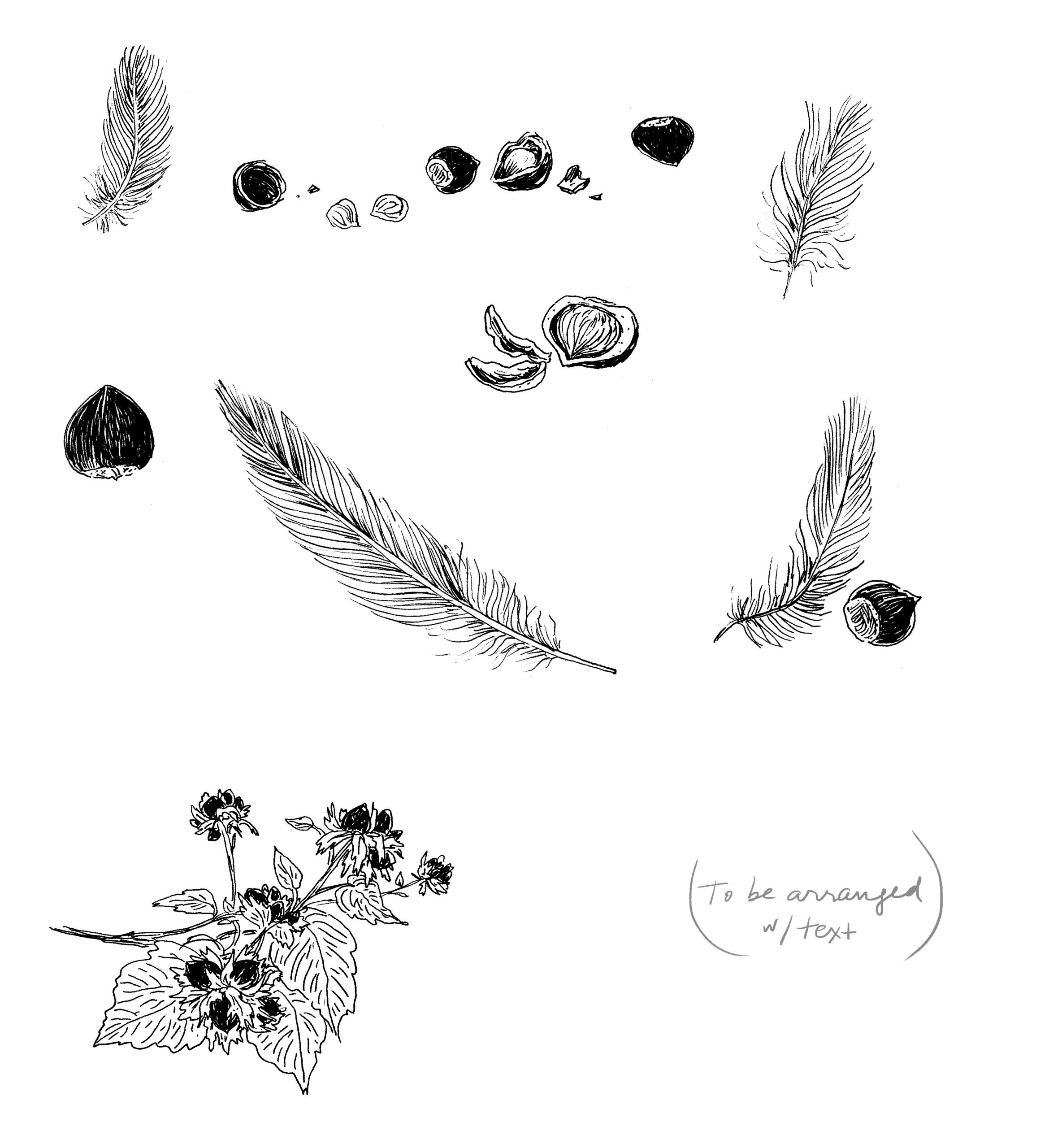 Apartamento Magazine - Interview with Joana Avillez