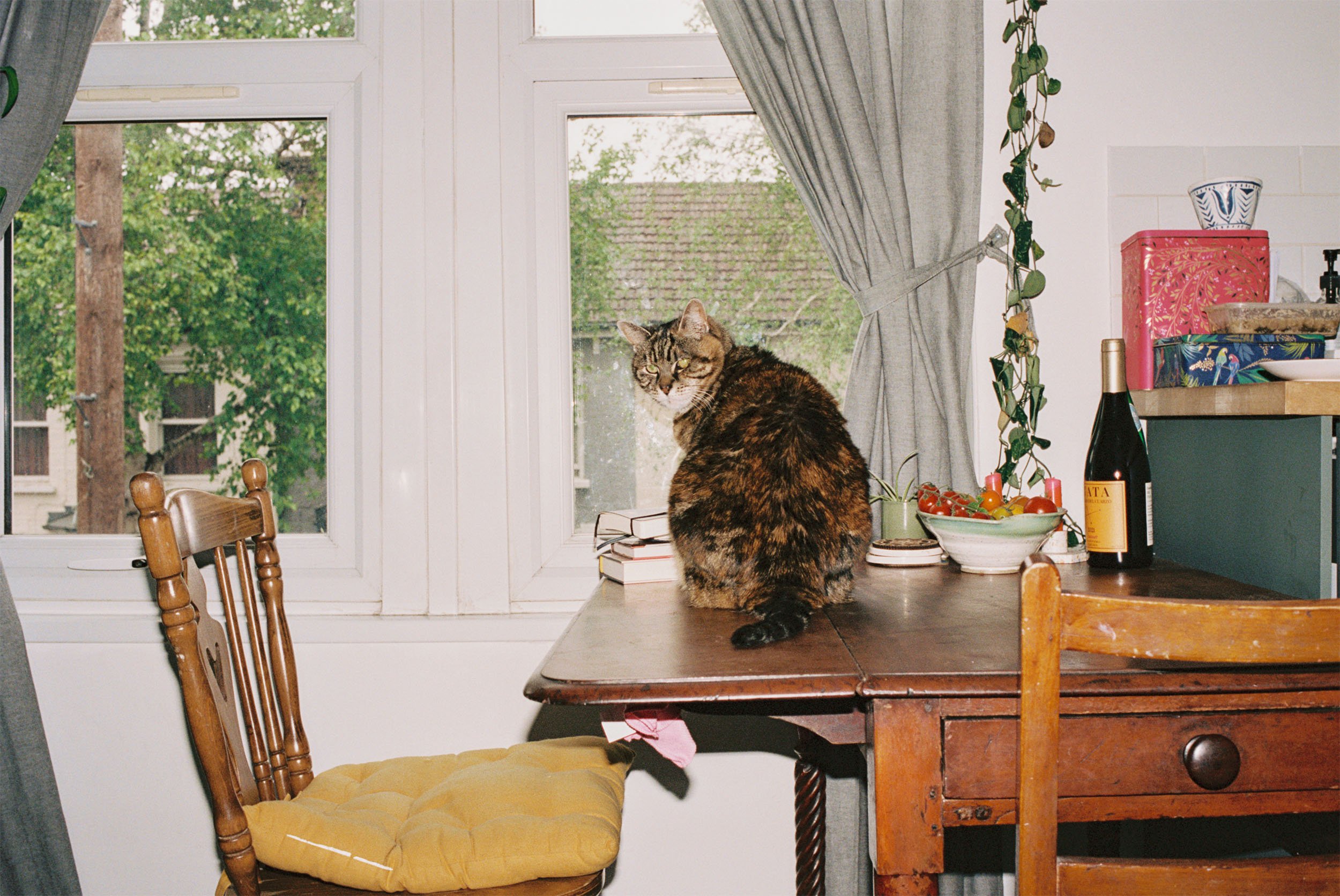 Apartamento Magazine - Anna Sulan Masing