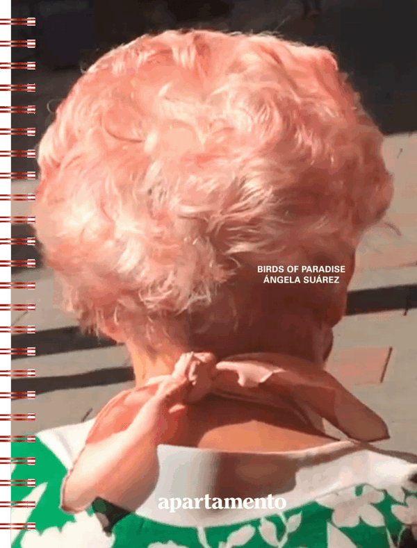 Birds of Paradise, Ángela Suárez