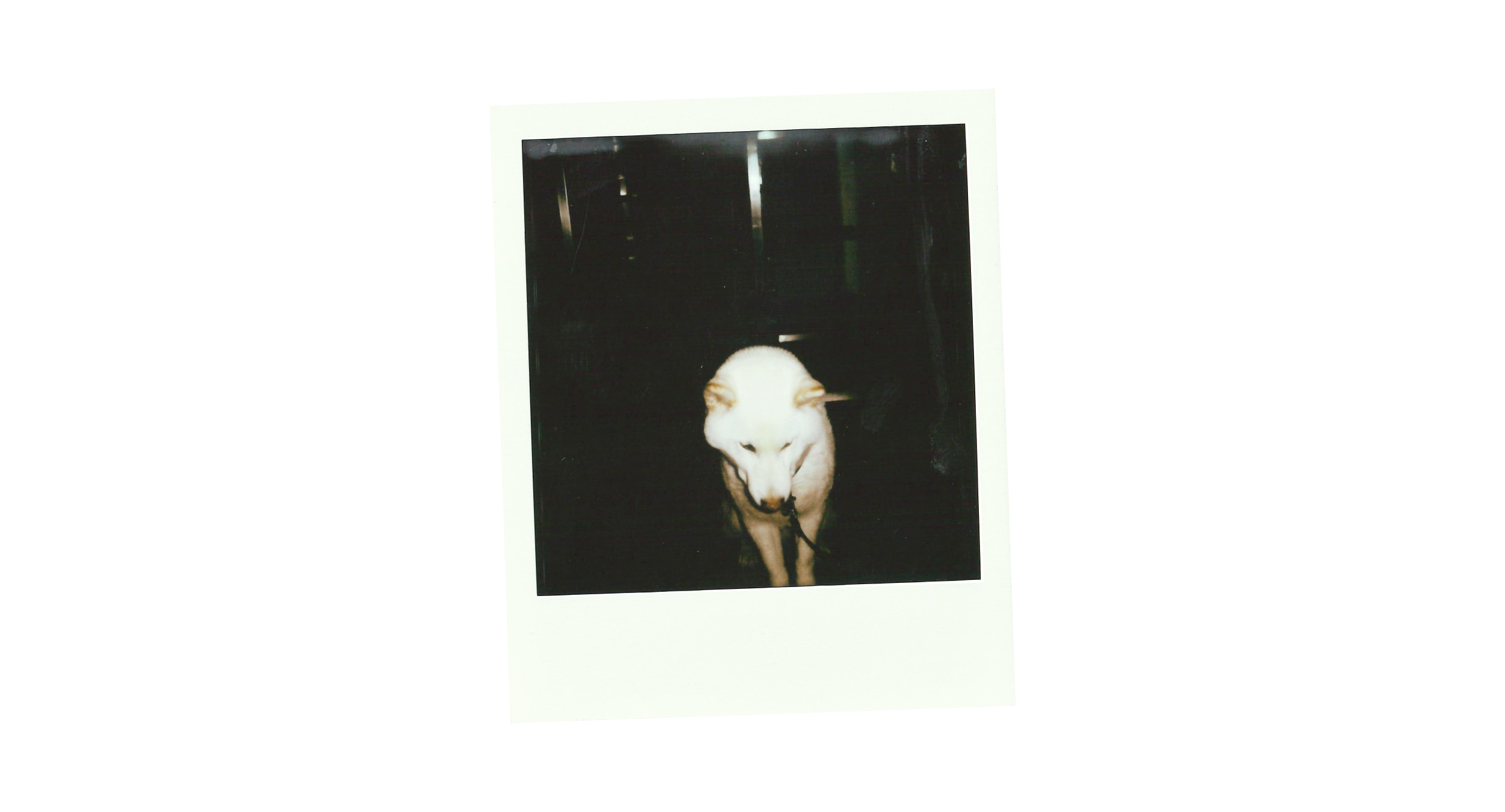 Apartamento Magazine - Apollo World Tour: Paris