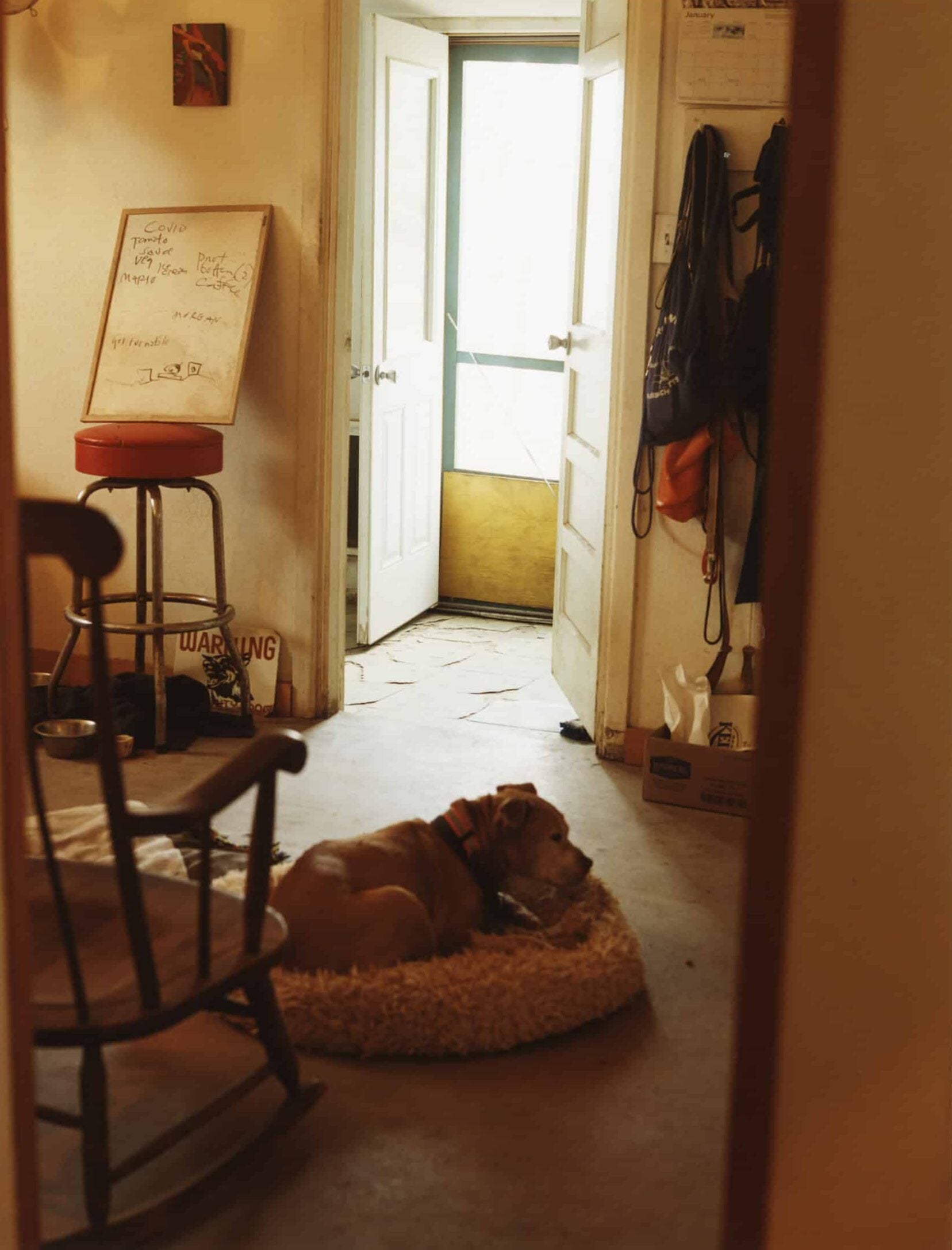 Apartamento Magazine - A conversation with Eileen Myles for Apartamento magazine issue #37