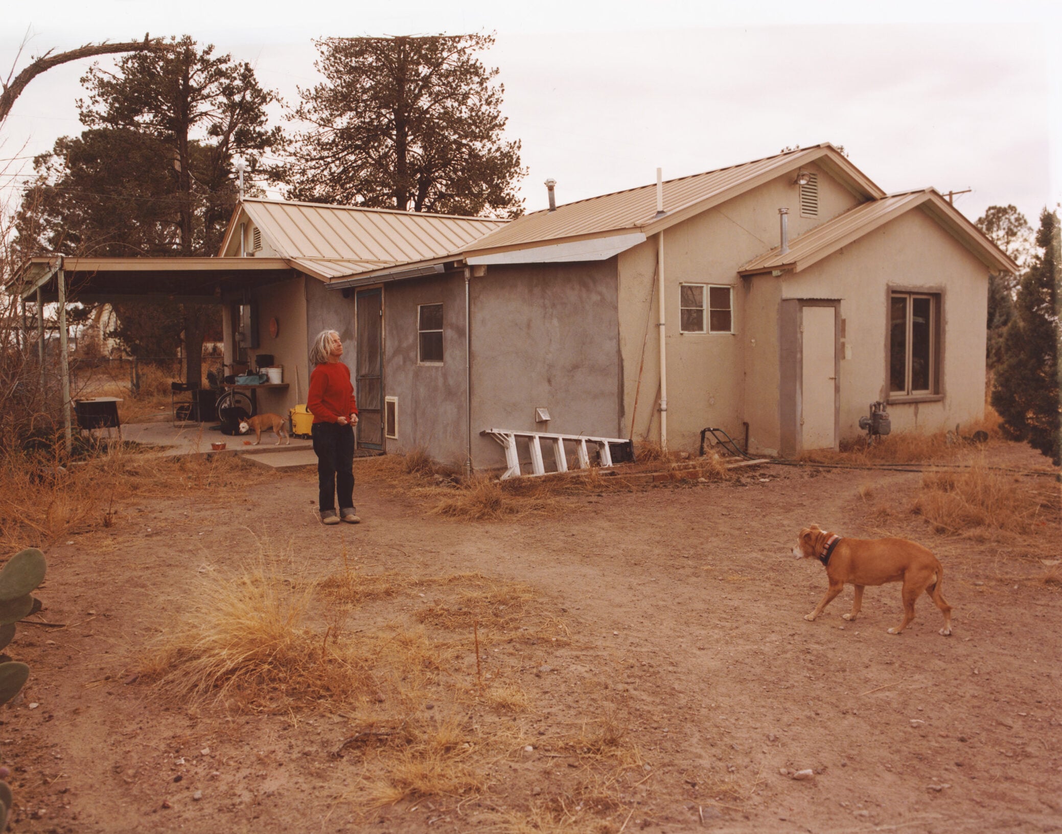 Apartamento Magazine - A conversation with Eileen Myles for Apartamento magazine issue #37