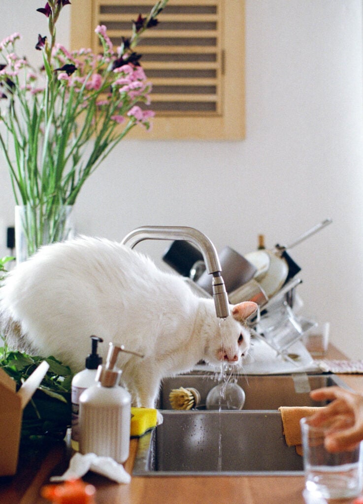 Apartamento Magazine - A conversation with</br>Laura Amelia Guzmán & Israel Cárdenas